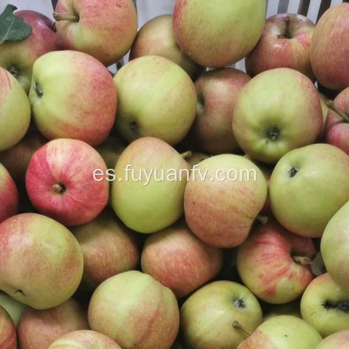 Manzana roja deliciosa fresca de alta calidad